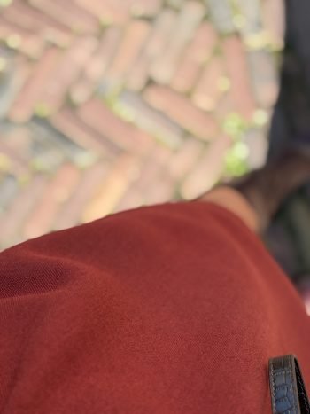 IMG_3542